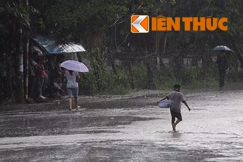 Nhung dua tre khao khat mot lan duoc pha co trung thu-Hinh-4