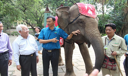 Khen thuong Thao Cam Vien lai tao thanh cong ho trang quy hiem-Hinh-2