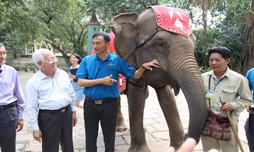 Khen thuong Thao Cam Vien lai tao thanh cong ho trang quy hiem-Hinh-2