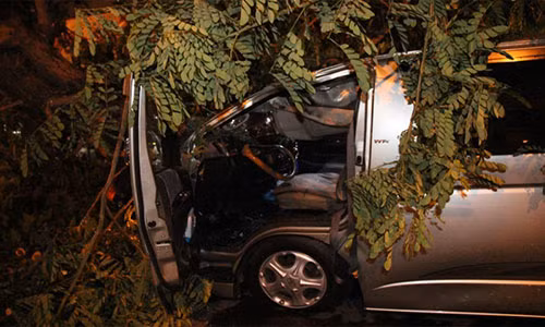 Dong lon o TP HCM, cay do, tuong sap de nguoi-Hinh-2