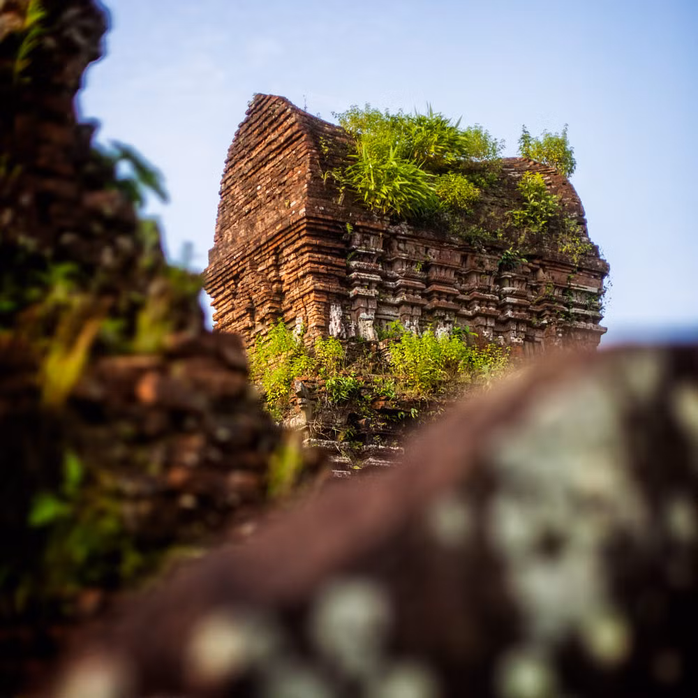 Màu xanh của thiên nhiên trên phế tích. Ảnh: Alex Stoen / 500px.com.