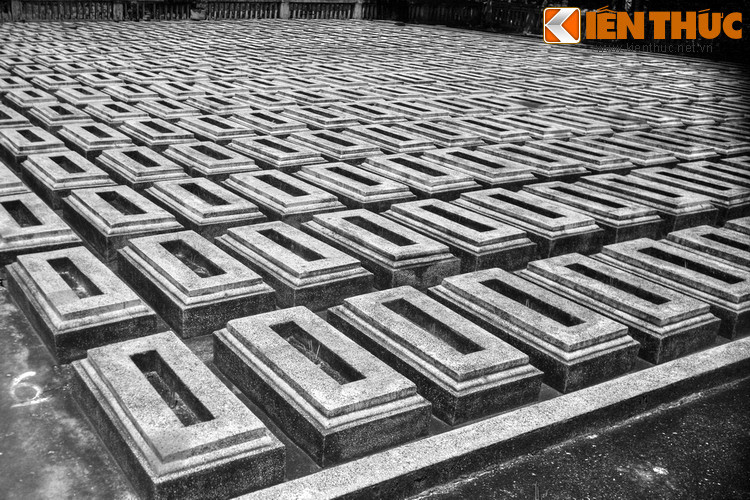 Để tăng cường năng lực tổ chức phòng thủ, vua Tự Đức đã điều võ tướng Nguyễn Tri Phương từ Nam Kỳ ra chỉ huy mặt trận Đà Nẵng. Với tài thao lược của mình, Nguyễn Tri Phương đã đánh giá tình hình đúng đắn và đề ra một phương lược phòng thủ và đánh địch năng động, thích hợp.