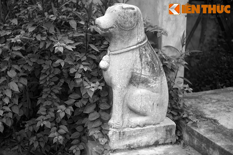 Trong kho tàng cổ tích Việt Nam vẫn còn lưu truyền một câu chuyện đặc sắc về chó đá. Chuyện kể rằng, có người học trò vào nhà thầy giáo, khi qua cửa thì con chó đá nhỏm dậy tỏ vẻ mừng rỡ... Ảnh: Tượng chó đá ở đền thờ Quận công Nguyễn Đình Huấn, Đông Anh, Hà Nội.