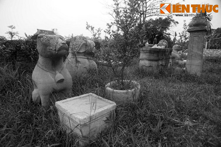 Khoa ấy, người học trò dù đã lọt qua mấy kỳ nhưng không đỗ thật. Tuy vậy, người học trò cũng không lấy làm nản, càng chăm chỉ học hành. Người cha cũng không lấy làm oán hận, càng tu thân tích đức để chuộc lỗi. Ảnh: Chó đá lăng Quan Đề đốc, Hoài Đức, Hà Nội.