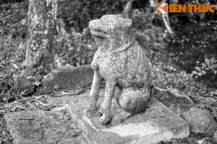 Người học trò đem chuyện kể lại với cha, người cha lấy làm hối hận, rồi từ đó không những không lên mặt hống hách mà còn xin lỗi những người mà mình đã xúc phạm. Ảnh: Chó đá lăng Quận Nghi, Đông Sơn, Thanh Hóa.