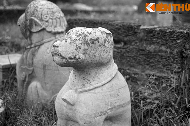 Ba năm sau, người học trò đi qua chỗ con chó đá, lại thấy nó đứng dậy mừng rỡ như trước. Con chó đá bảo: “Nhà thầy tu nhân tích đức đã ba năm nay, đủ chuộc lại những lỗi lầm trước rồi nên sổ Thiên Tào lại định cho thầy khoa này thi đỗ”. Ảnh: Chó đá lăng Quan Đề đốc, Hoài Đức, Hà Nội.