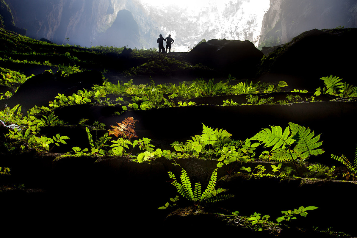 Vườn địa đàng có thật ở Sơn Đoòng.