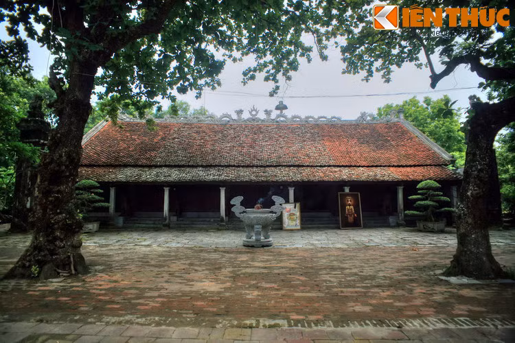 Nằm ở phường Đông Vệ, Thành phố Thanh Hoá, Thái miếu nhà Hậu Lê là nơi thờ tự các vua nhà Hậu Lê có tầm quan trong bậc nhất Việt Nam.