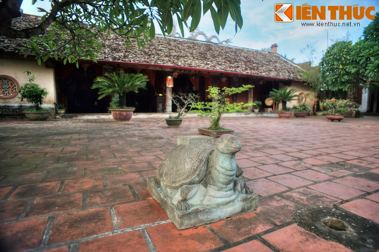 Các hiện vật đáng chú ý còn được lưu giữ ở Phủ Trịnh là hai con rùa đá chầu ở trong sân...