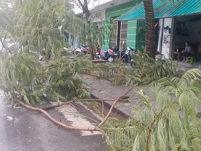 Bao so 10 chua vao toi dat lien, Hue da co nguoi thiet mang