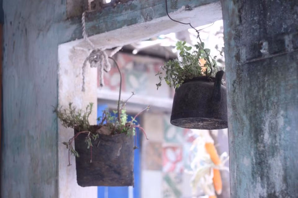 Chàng trai trẻ cùng với những người anh em, bạn bè của mình bắt tay vào sửa sang, độ chế lại những món đồ cũ đó, như cửa sổ làm khung ảnh và giá sách; ấm đun nước hay chiếc gàu cũ biến thành chậu hoa treo...