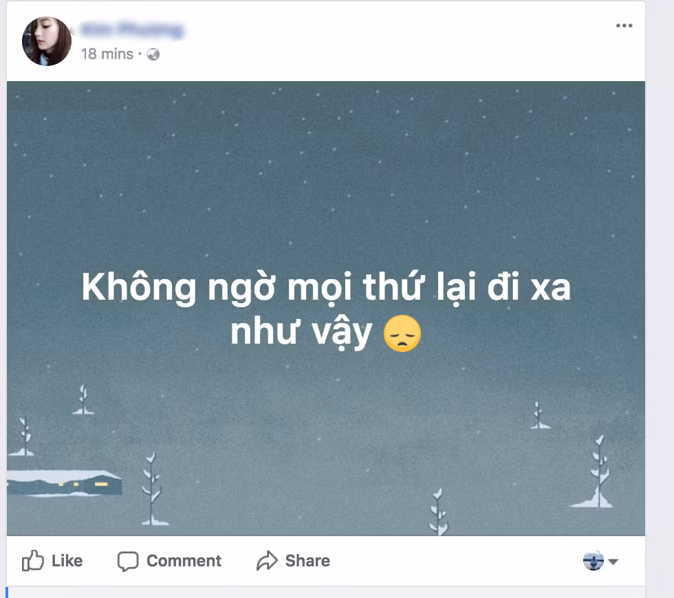 Và chỉ sau một đêm, trang Facebook "thật giả lẫn lộn" đã tăng đáng kể lượng người theo dõi lên hơn 10.000 người. Bản thân tài khoản này cũng cho thấy sự ngạc nhiên của mình bằng dòng status: "Không ngờ mọi thứ lại đi xa như vậy". Ảnh: Facebook.