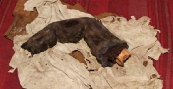  Ngón tay dài 38 cm: Phát hiện này là của một doanh nhân người Thụy Sĩ. Ông đã tìm thấy nó vào năm 1988 trong một lăng mộ. Mặc dù người doanh nhân này rất nỗ lực để có thể mua lại được ngón tay kỳ lạ này nhưng thất bại. Và cho đến giờ, không ai có thể chứng thực về sự tồn tại của những người khổng lồ hay chỉ là một trò lừa đảo thông minh.