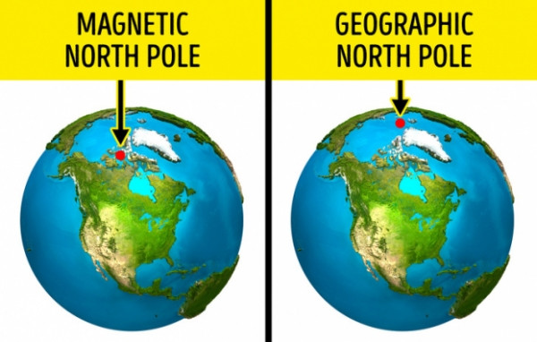  La bàn luôn hướng đến Cực Bắc: Chúng ta vẫn được học rằng la bàn hướng về phía bắc, nhưng thực tế nó không hẳn chính xác. Từ trường của hành tinh chúng ta không phải lúc nào cũng có hướng từ bắc vào nam như bây giờ. Nó đã thay đổi hướng của nó ít nhất 100 lần trong vòng 160 triệu năm qua. Kết quả là, các cực từ và địa lý không khớp. Ngày nay, Bắc cực từ nằm trên Bán đảo Boothia - đó là điểm cực bắc của Canada và mũi tên của tất cả các la bàn hướng về phía nó .