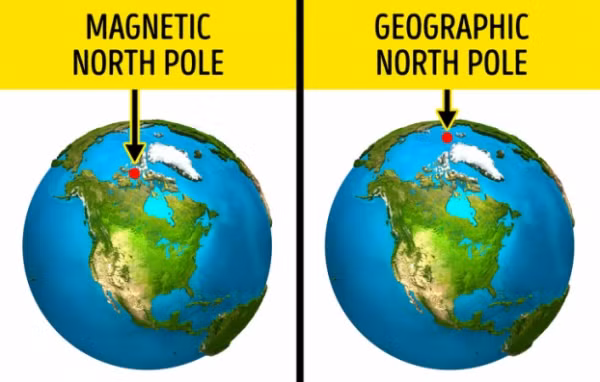  La bàn luôn hướng đến Cực Bắc: Chúng ta vẫn được học rằng la bàn hướng về phía bắc, nhưng thực tế nó không hẳn chính xác. Từ trường của hành tinh chúng ta không phải lúc nào cũng có hướng từ bắc vào nam như bây giờ. Nó đã thay đổi hướng của nó ít nhất 100 lần trong vòng 160 triệu năm qua. Kết quả là, các cực từ và địa lý không khớp. Ngày nay, Bắc cực từ nằm trên Bán đảo Boothia - đó là điểm cực bắc của Canada và mũi tên của tất cả các la bàn hướng về phía nó .