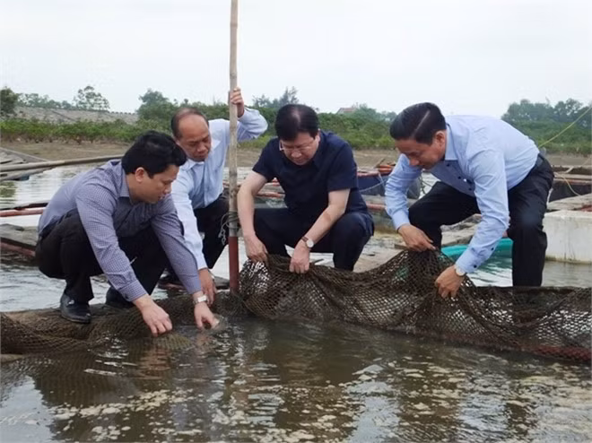 Phó thủ tướng cùng các bộ và lãnh đạo tỉnh Hà Tĩnh kiểm tra tại thị xã Kỳ Anh. Ảnh: Hoàng Thanh.