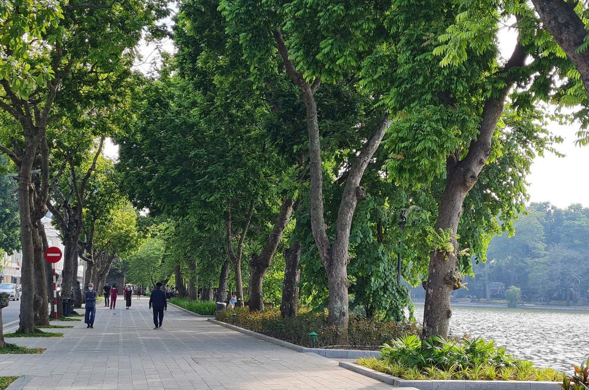 PGS.TS Tran Ngoc Hai: 