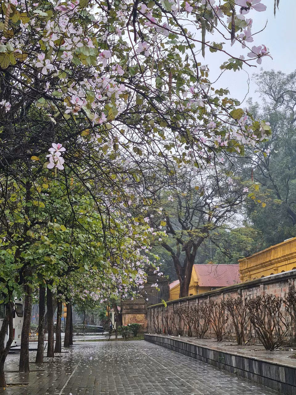 Thoi tiet ngay 30/3: Mien Bac mua ret, mien Trung mua rao