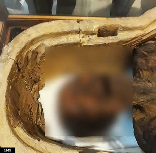 Các chuyên gia cũng phát triển công chúa Meret Amun tử vong vì đột ngột lên cơn đau tim. Theo họ, rất lâu sau khi công chúa đột tử thì mọi người mới phát hiện vụ việc.