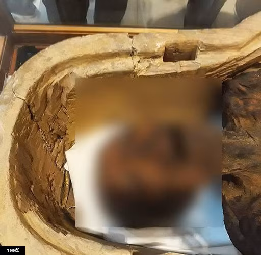 Các chuyên gia cũng phát triển công chúa Meret Amun tử vong vì đột ngột lên cơn đau tim. Theo họ, rất lâu sau khi công chúa đột tử thì mọi người mới phát hiện vụ việc.