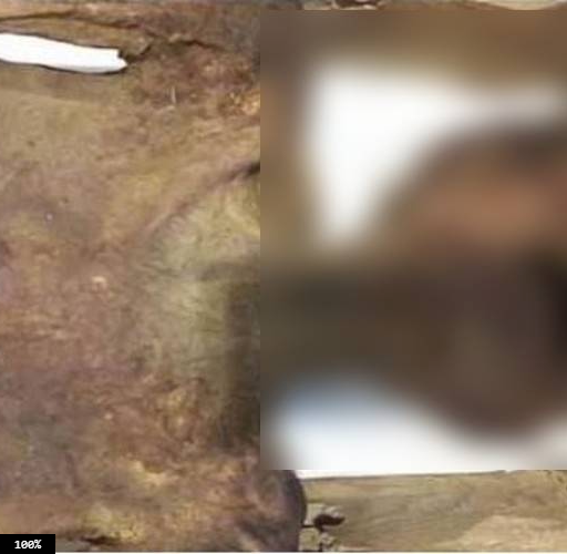 Thi hài "công chúa la hét" này có vóc dáng khá mảnh khảnh nhưng gương mặt với biểu cảm kinh hoàng khiến nhiều người không khỏi hoảng sợ.