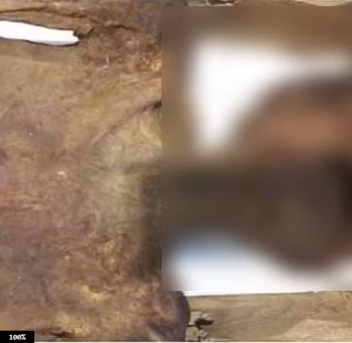 Thi hài "công chúa la hét" này có vóc dáng khá mảnh khảnh nhưng gương mặt với biểu cảm kinh hoàng khiến nhiều người không khỏi hoảng sợ.