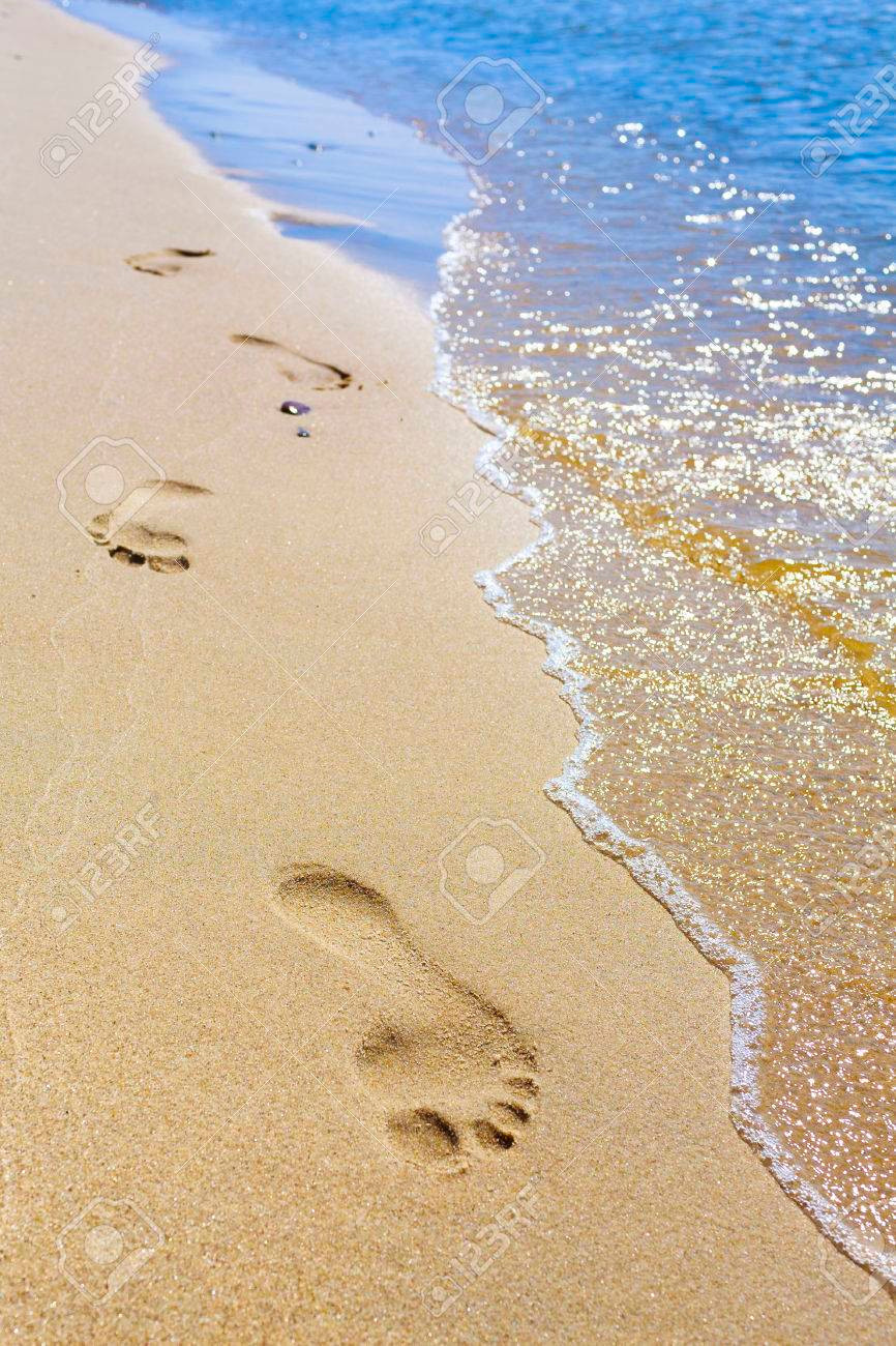 Trong suốt nhiều năm sau đó, những câu chuyện về thủy quái "Tasmania Blob" được lan truyện rộng rãi. Nhiều giả thuyết được đưa ra để lý giải con vật này là gì.