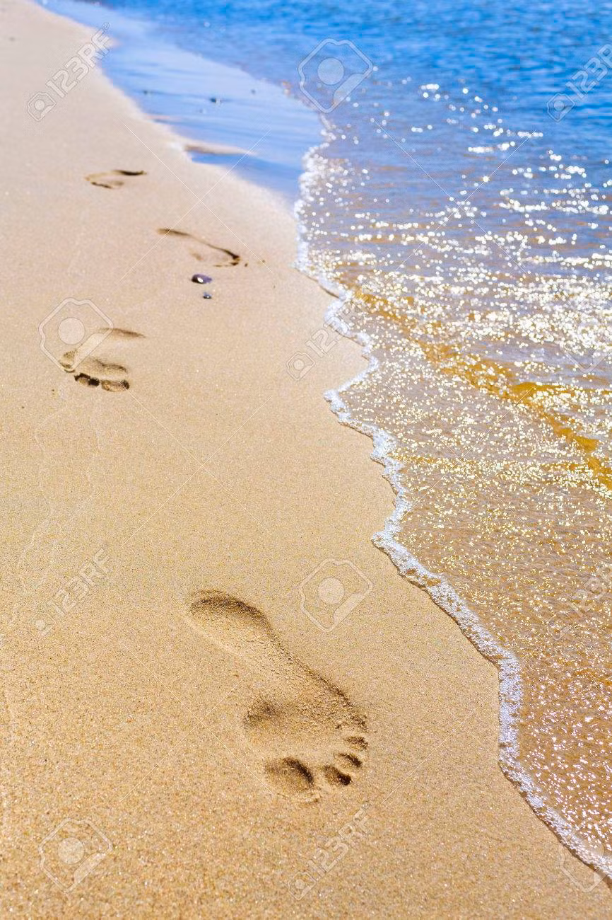 Trong suốt nhiều năm sau đó, những câu chuyện về thủy quái "Tasmania Blob" được lan truyện rộng rãi. Nhiều giả thuyết được đưa ra để lý giải con vật này là gì.