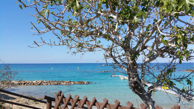 Theo những thông tin được lan truyền rộng rãi, Ahmet Cemal Hergune mất tích bí ẩn vào năm 1974 khi xảy ra những cuộc xung đột trên đảo Síp - một hòn đảo thuộc biển Địa Trung Hải.