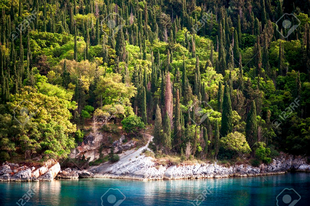 37 năm sau, một nhà nghiên cứu phát hiện có một cây sung kỳ lạ mọc trên sườn núi. Do tò mò nên ông quyết định điều tra về cái cây này. Theo đó, ông giật mình phát hiện cây sung mọc ra từ một bộ hài cốt.