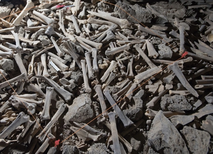 Đặc biệt, các nhà khoa học đã xác định được một số mảnh sọ người bên trong hang động trên.