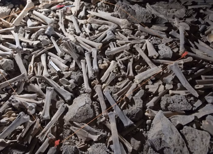 Đặc biệt, các nhà khoa học đã xác định được một số mảnh sọ người bên trong hang động trên.