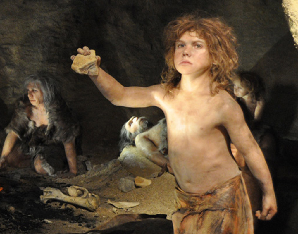 Do người Neanderthal ăn nhiều tinh bột nên làm thay đổi đáng kể thành phần của hệ vi sinh vật trong miệng.