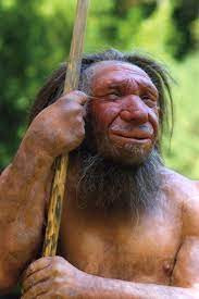 Sau nhiều năm nghiên cứu, các chuyên gia giải mã được bí ẩn trên. Theo họ, người Neanderthal - loài người đã tuyệt chủng được coi là "anh em" gần gũi của loài người hiện đại Homo sapiens - có chế độ ăn giàu thực vật và tinh bột. Chính điều này khiến người Neanderthal có não lớn hơn chúng ta.