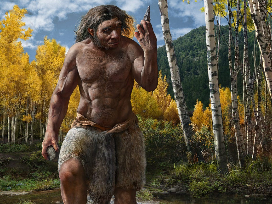 Thêm nữa, chế độ ăn giàu thực vật và tinh bột góp phần đáng kể vào việc người Neanderthal có được cơ thể săn chắc, khỏe mạnh.