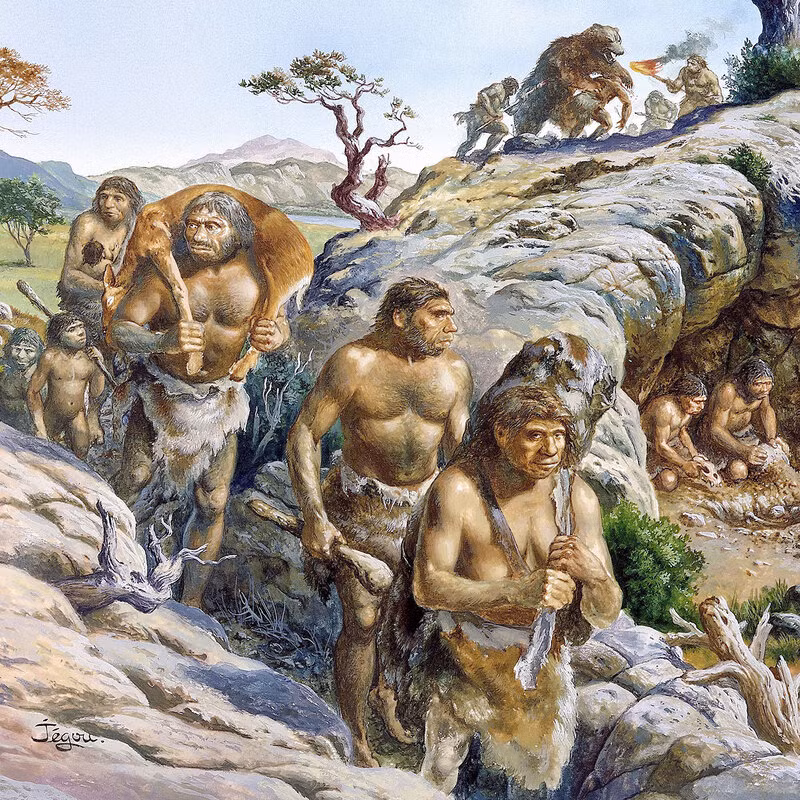 Chế độ ăn nhiều tinh bột đã thúc đẩy bộ não người Neanderthal phát triển một cách nhanh chóng. Theo nghiên cứu của các chuyên gia, não của người Neanderthal tăng gấp 2 lần chỉ trong 200.000 năm.