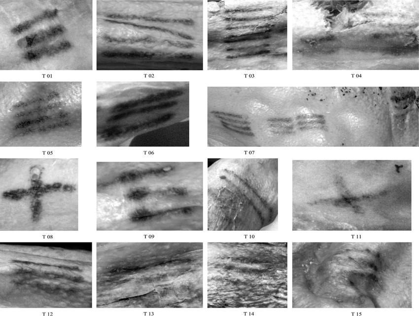 Theo các chuyên gia, nhiều hình xăm của Otzi nằm ở các vị trí: lưng dưới, đầu gối, cổ tay và mắt cá chân. Đây đều là những vị trí trên cơ thể mà mọi người thường bị đau khi về già.