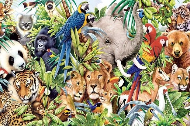 “Trong một thế giới không có con người, Trái đất sẽ có sự đa dạng lớn hơn về các loài động vật có vú lớn. Nếu nhìn thấy sự đa dạng của các loài động vật có vú lớn hơn thì bạn sẽ có xu hướng thấy một môi trường sống cởi mở hơn nhiều”, ông Sören nói.