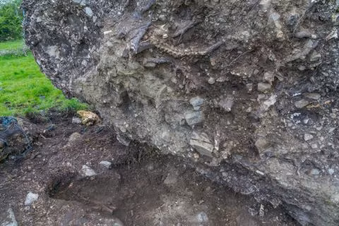 Các nhà nghiên cứu tìm được những ghi chép về một nhà thờ và nghĩa địa từng tồn tại trong khu vực phát hiện bộ hài cốt trên. Thế nhưng, đến nay, họ chưa tìm thấy bất cứ tàn tích nào về những nơi này.