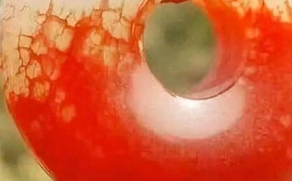 Theo các chuyên gia, ngôi mộ cổ ở Mao Sơn có cấu trúc khá đơn giản và kích thước khá nhỏ. Bên trong mộ cổ có nhiều cổ vật nhưng không quá quý hiếm.