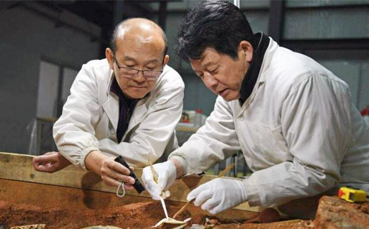 Sau khi nhận được tin báo, chính quyền và các nhà khảo cổ tới khu vực phát hiện ngôi mộ cổ và tiến hành cuộc khai quật.