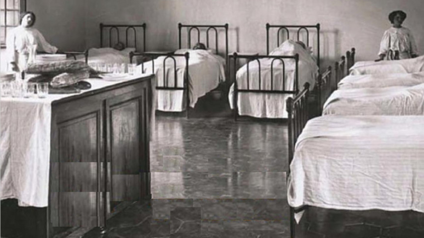 Sau nhiều năm nghiên cứu, các chuyên gia tìm ra căn bệnh khiến nhiều người trở thành "bức tượng sống". Đó là căn bệnh Encephalitis lethargica hay còn gọi là bệnh ngủ.