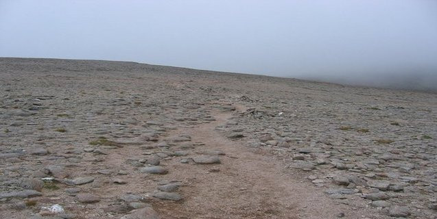 Tuy nhiên, sau nhiều năm, người ta vẫn chưa tìm được bất cứ dấu vết nào của quái thú Am Fear Liath Mòr. Điều này khiến một số người hoài nghi về sự tồn tại của nó.