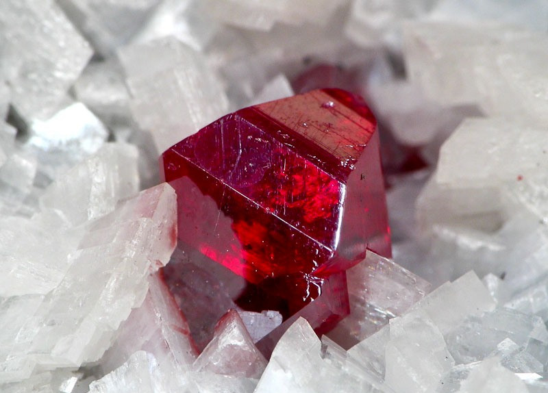 Do protein đã phân hủy phần lớn nên các chuyên gia không thể xác định chính xác đó là trứng của loài chim nào. Tuy nhiên, nhóm nghiên cứu suy đoán đó có thể là trứng vịt Muscovy (Cairina moschata). Do đó, giả thuyết màu đỏ trên mặt nạ là chu sa được các chuyên gia loại bỏ.