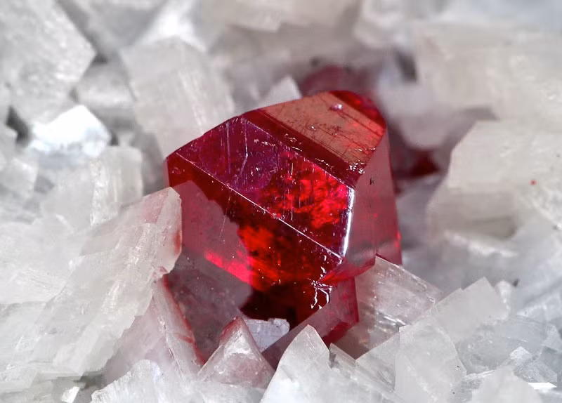 Do protein đã phân hủy phần lớn nên các chuyên gia không thể xác định chính xác đó là trứng của loài chim nào. Tuy nhiên, nhóm nghiên cứu suy đoán đó có thể là trứng vịt Muscovy (Cairina moschata). Do đó, giả thuyết màu đỏ trên mặt nạ là chu sa được các chuyên gia loại bỏ.