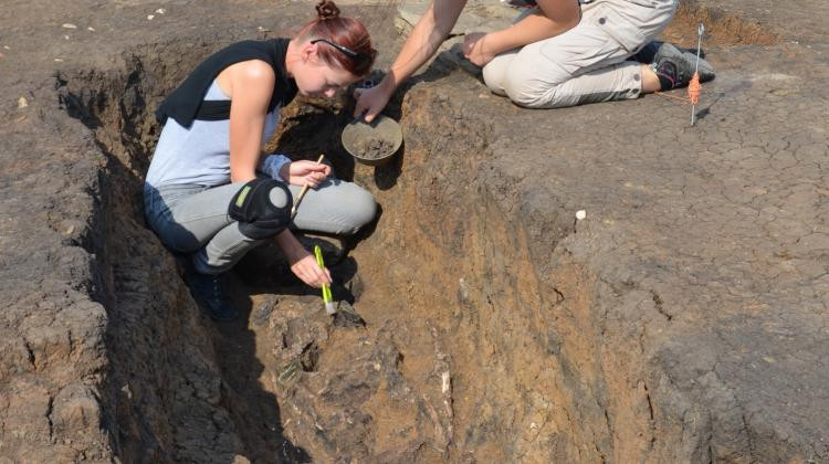 Thêm nữa, bên trong ngôi mộ còn có những món đồ được cho là từng được người phụ nữ trên dùng khi còn sống như: nồi sứ có dấu vết của việc nấu thịt, một chiếc lược làm từ xương, dao sắt...