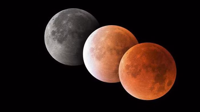 Theo các chuyên gia, Canada, hầu hết nước Mỹ, hầu hết Greenland và một phần nước Nga sẽ nằm trong vùng quan sát nguyệt thực một phần dài nhất thế kỷ thuận lợi nhất với thời gian quan sát trọn vẹn và tỉ lệ che phủ của Mặt Trăng lên tới 97%. Do độ che phủ đậm nên sẽ cho phép Mặt Trăng chuyển màu gần như trăng máu (tức nguyệt thực toàn phần) vào rạng sáng ngày 19/11.