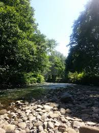 Do không am hiểu nhiều cổ vật nên người chủ tiệm đá quý chỉ có thể xác định đó là một con dấu nhưng không rõ nó có nguồn gốc như thế nào.