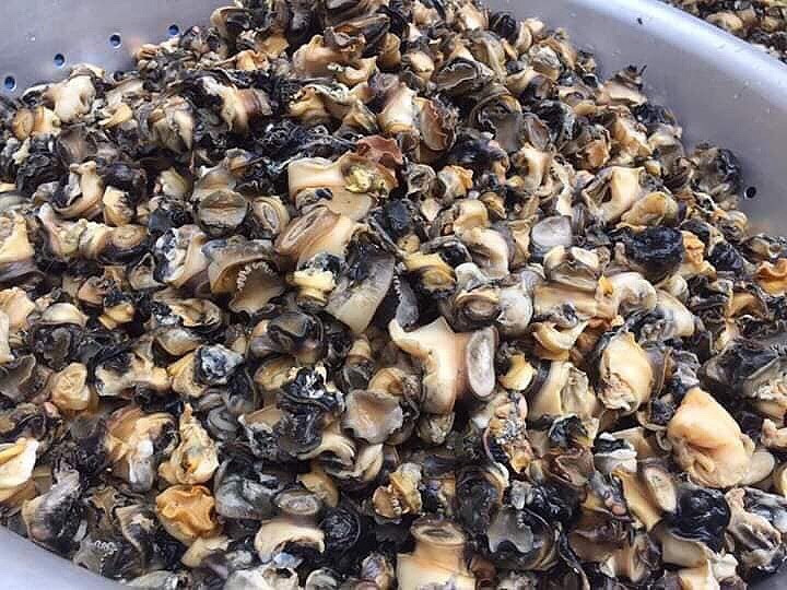 Tùy vào từng thời điểm, thương lái thu mua ốc bươu vàng của người dân với giá 7.000 - 14.000 đồng/kg. Nhờ đó, người dân có thể kiếm thêm thu nhập từ 150. 000 - 300.000 đồng/ngày. Vì vậy, công việc bắt ốc bươu vàng bán vừa tận diệt loài sinh vật hại mùa màng vừa tạo việc làm kiếm thêm thu nhập cho người dân. Ảnh: Vietnmanet.