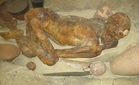 Các chuyên gia đặt tên cho xác ướp là Ginger để tiện việc nghiên cứu. Đây là một trong những xác ướp lâu đời nhất từng được tìm thấy ở Ai Cập trong tình trạng khá nguyên vẹn.